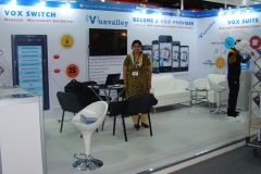 1_gitex-2013-1