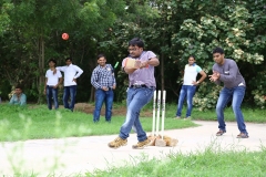 Cricket