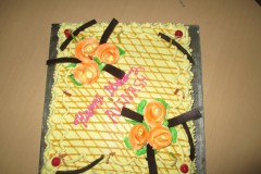 Birthday celebration